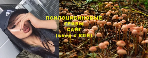 соль курить ск Надым