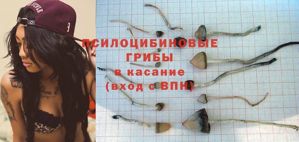 соль курить ск Надым