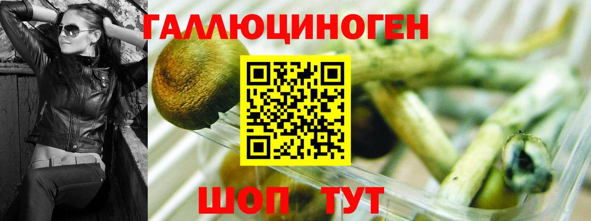 Псилоцибиновые грибы ЛСД  Псилоцибиновые грибы MAGIC MUSHROOMS  Урюпинск  Вход с VPN 